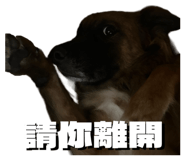 856851739