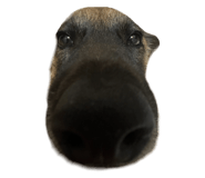 856851742