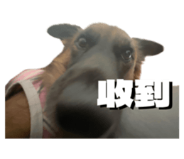 856851747