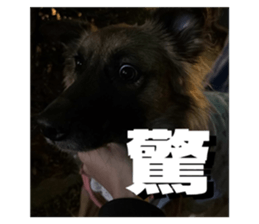 856851754