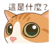 856852082
