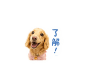 856852417