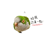 856855563