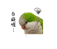 856855565
