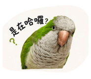 856855566
