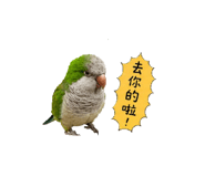 856855568