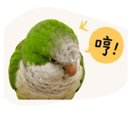 856855574