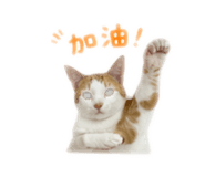 856855995