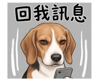 856856342