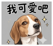 856856343