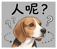 856856344