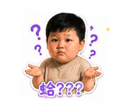 856856458