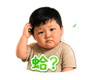 856856466