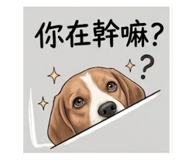 856856731