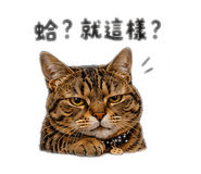 856856905