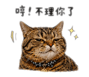 856856919