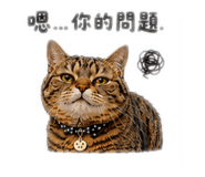 856856923