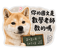 856856952