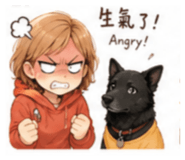 856857241