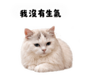 856857265