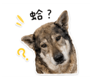 856857358