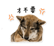 856857372