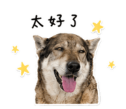 856857376