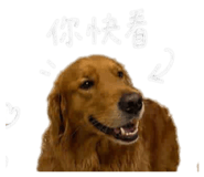 856857737