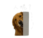856857741