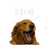 856857744