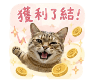 856858374