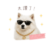 856858936