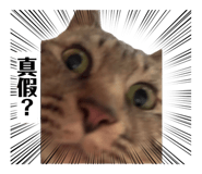 856859039