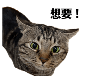 856859049
