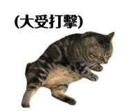 856859051