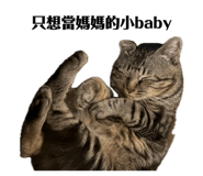 856859053