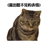 856859056