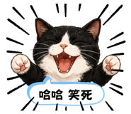856860088