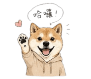 856860497