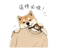 856860501