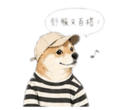 856860508