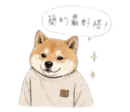 856860510