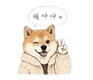 856860512