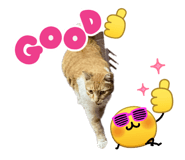 856860635
