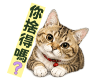 856861253