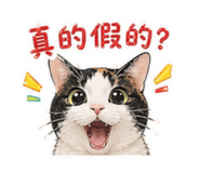 856861290