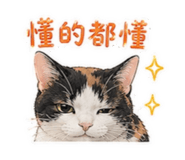 856861292