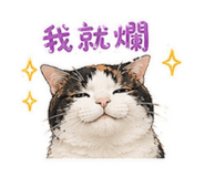 856861293