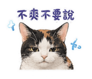 856861295
