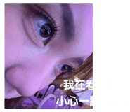 856861913